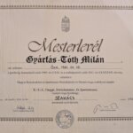 Gyárfás-Tóth Milán Mester szakács